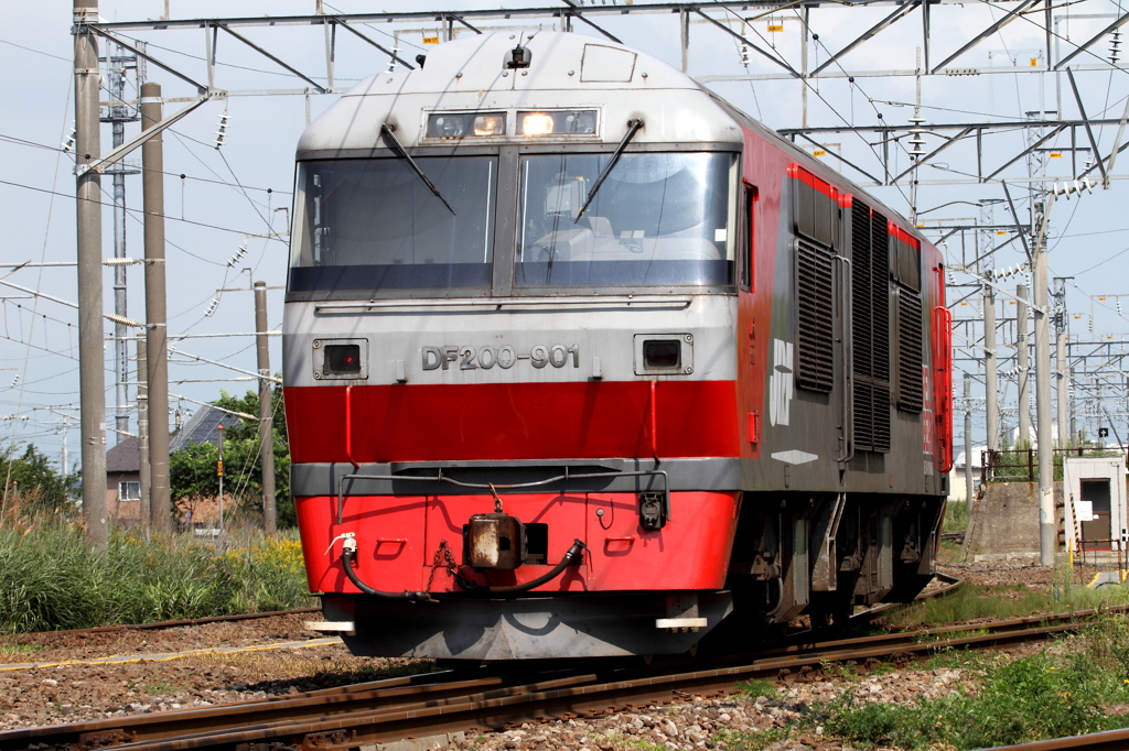 DF200　901
