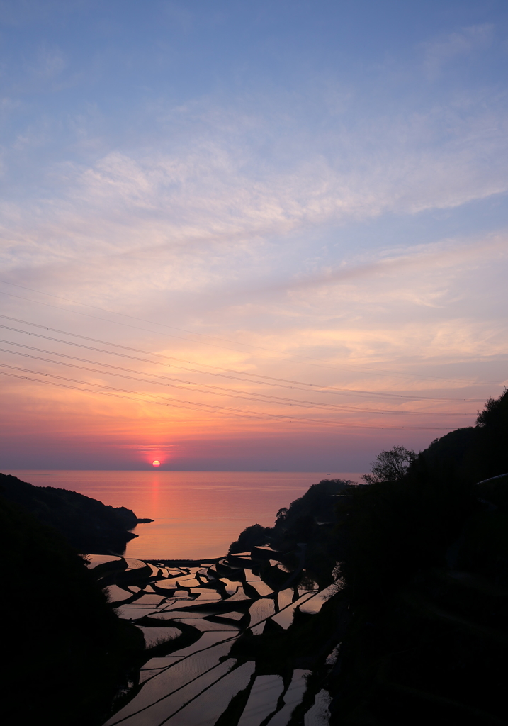 棚田-2