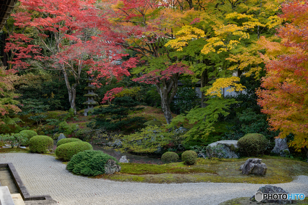 京都色模様・秋編