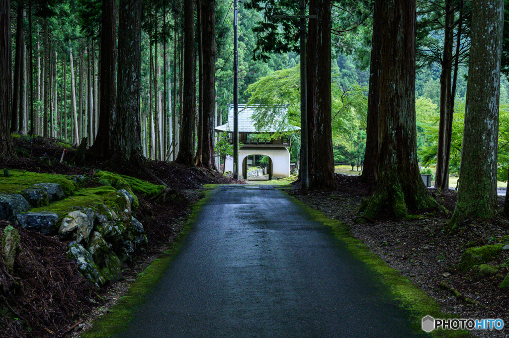 阿弥陀寺だより