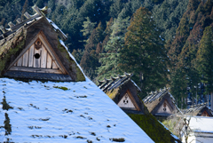 美山