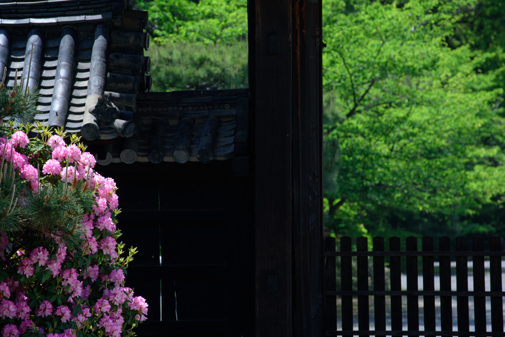 随心院