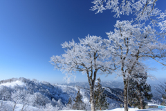 雪山行脚