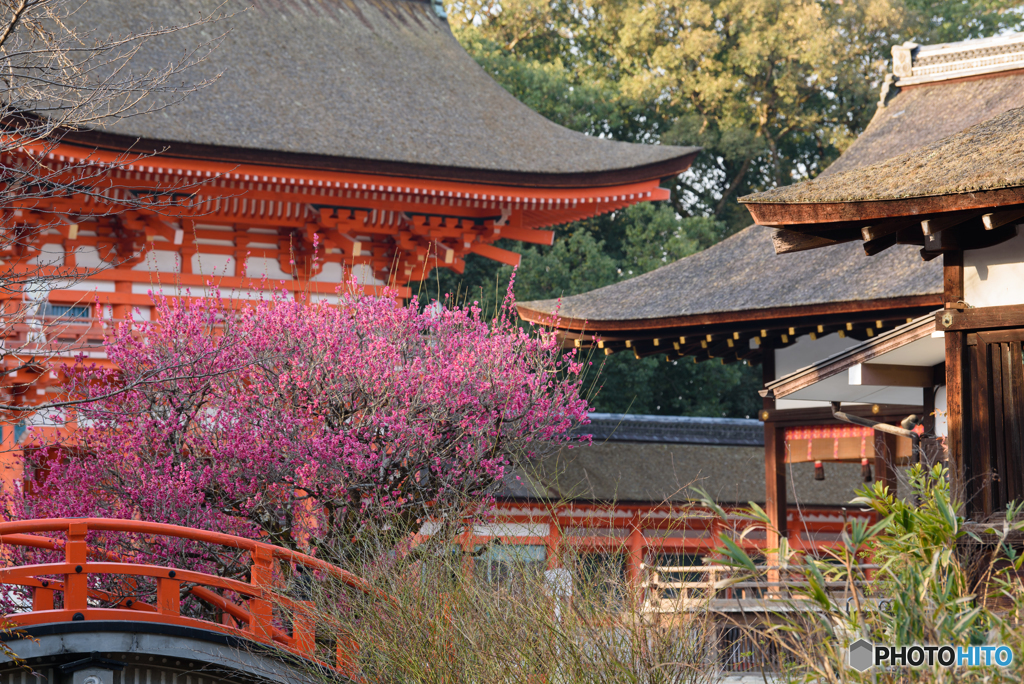 下鴨神社