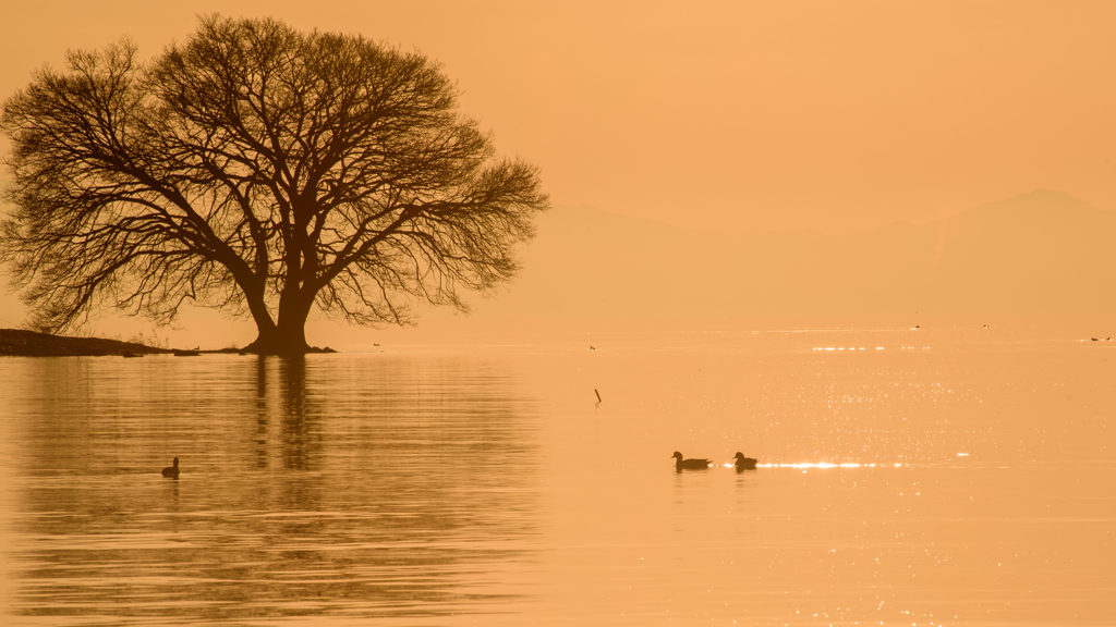 琵琶湖・夕景