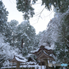 雪と森に守られた神域