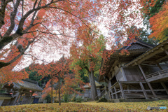 秋独り占め