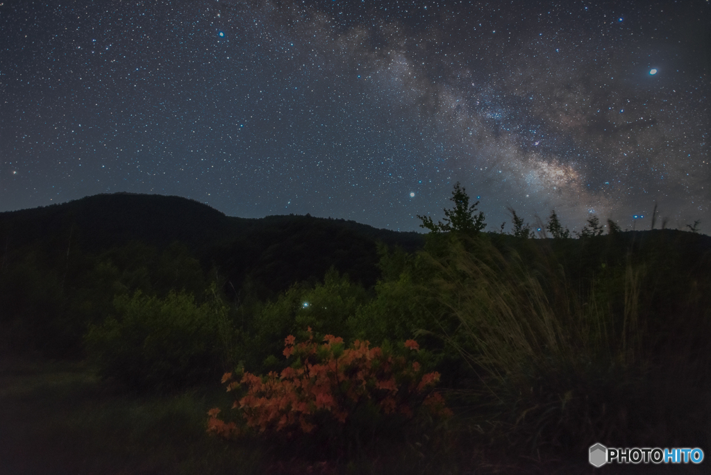 Stars over Flowers