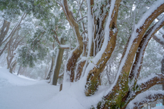 雪中行軍