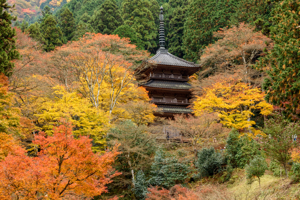 高源寺