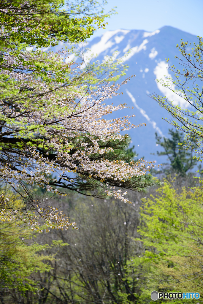 春色大山