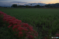 暑い日も、寒い日も