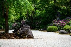 三室戸寺