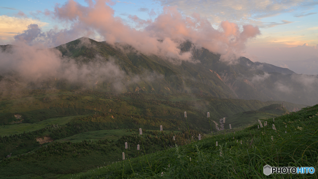 茜雲