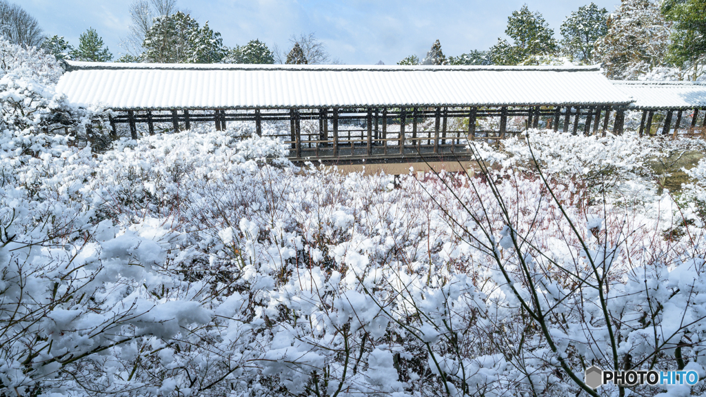 雪の回廊