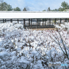 雪の回廊