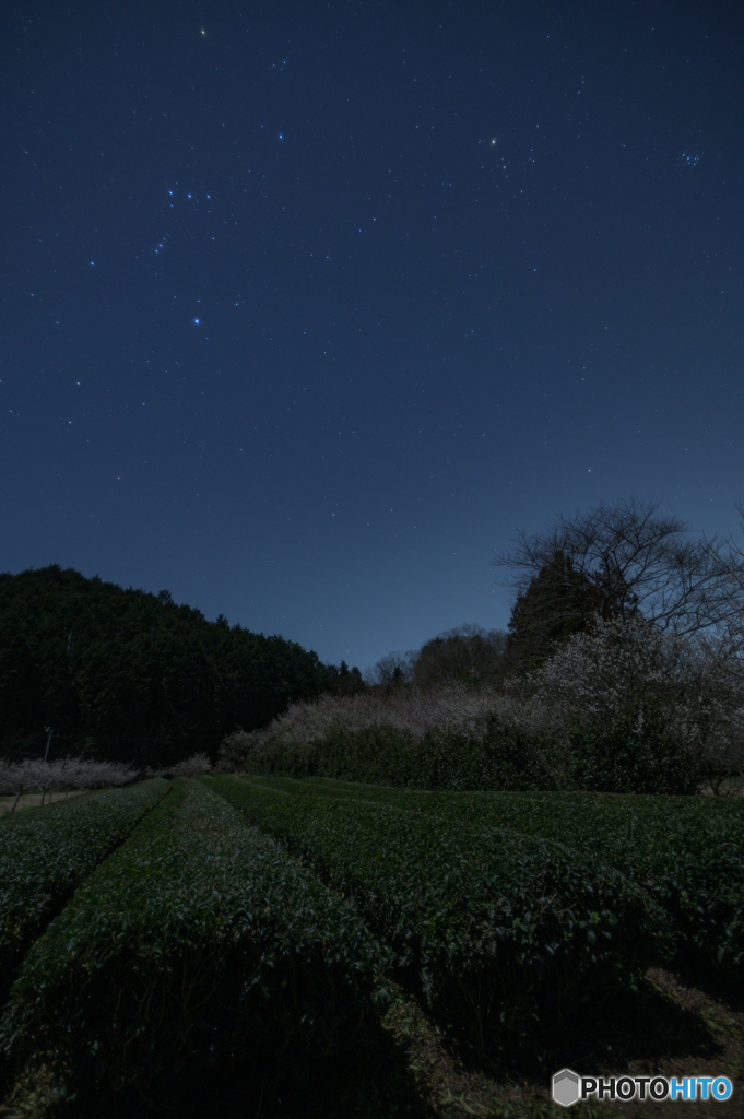 冬の空、春の地