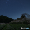 冬の空、春の地