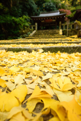 高良神社