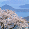 春風に吹かれ、海風に吹かれ