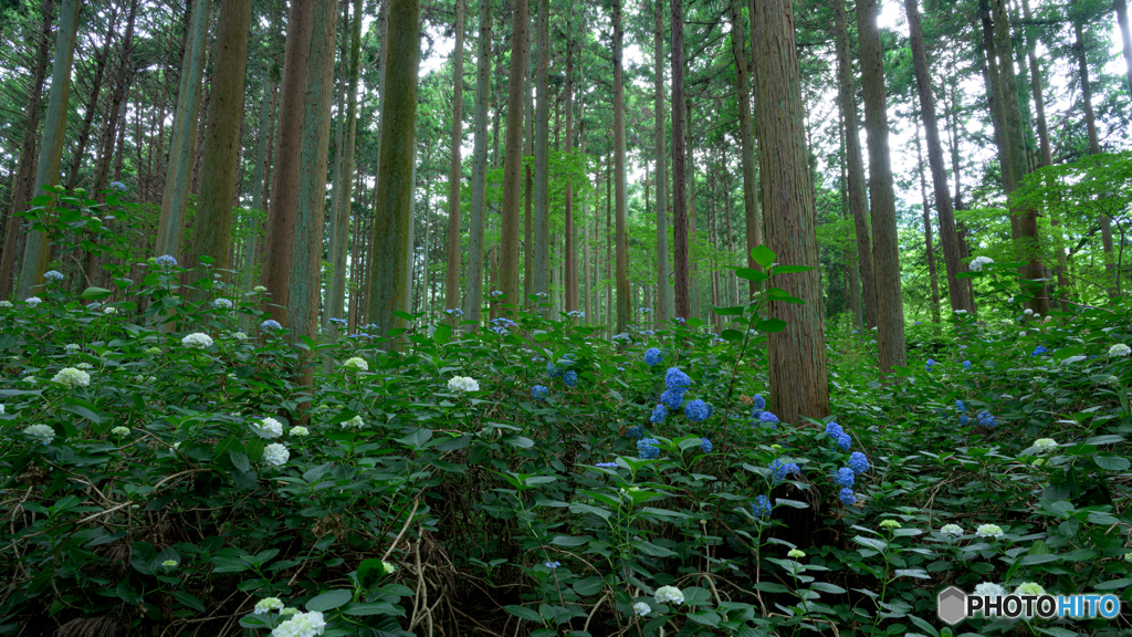 過ぎ去りし日々
