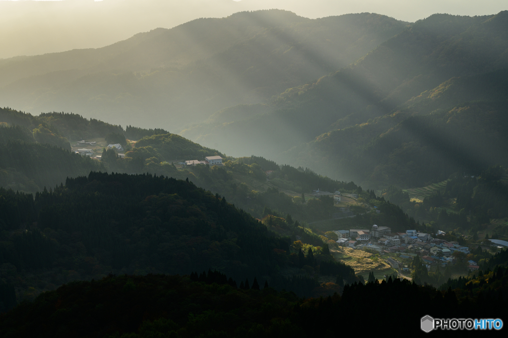 朝