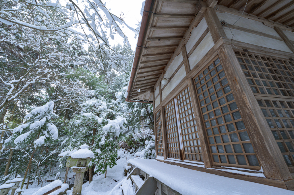 冬のオアシス