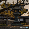 西本願寺