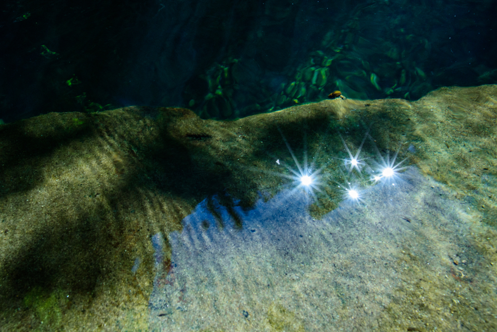 水の中のすばる