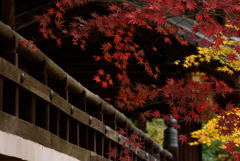 光明寺