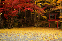 洞光寺