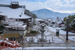妙満寺