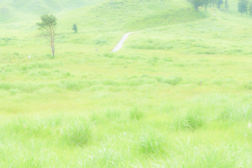 砥峰高原