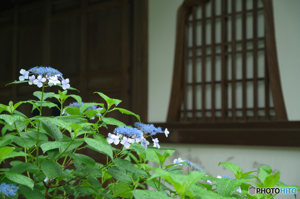 梅雨時、京都1