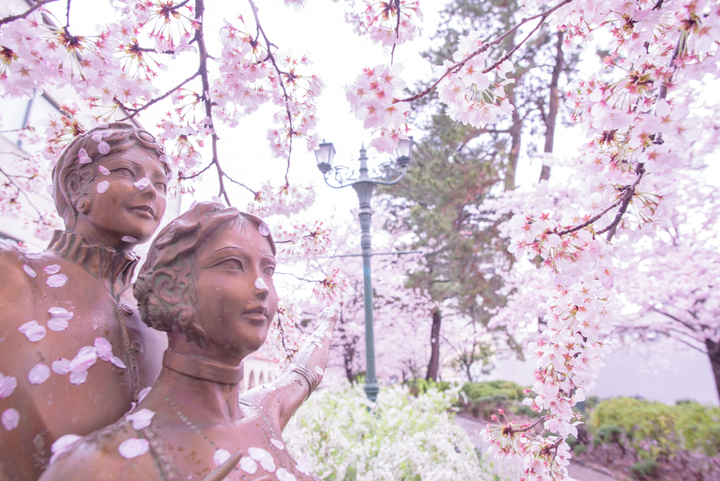 宝塚・桜組