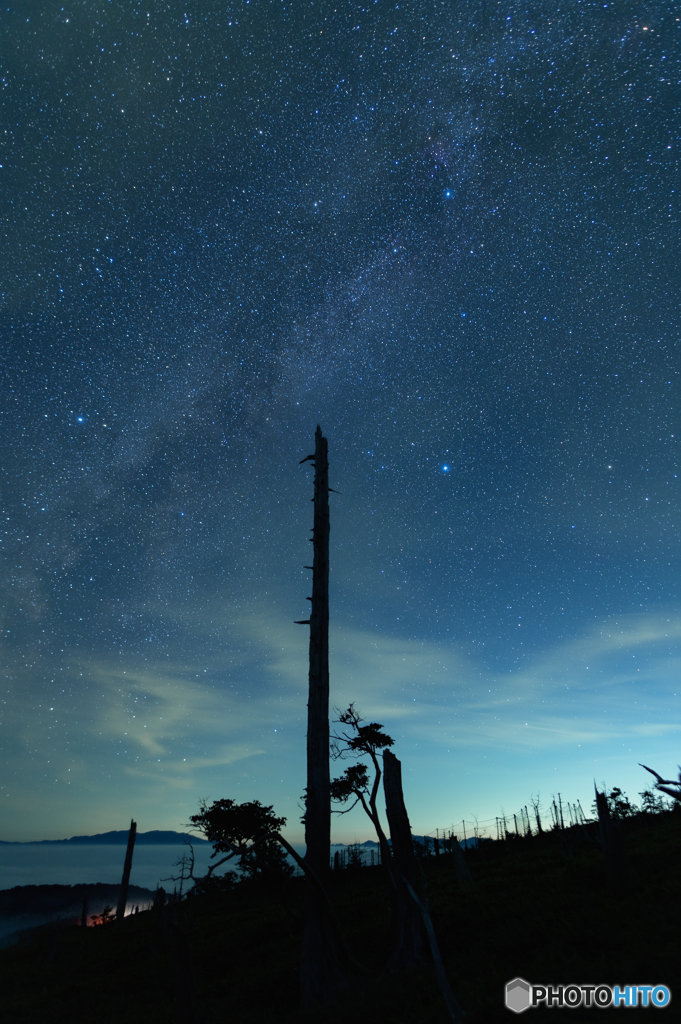 さようなら夏の夜