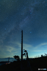 さようなら夏の夜