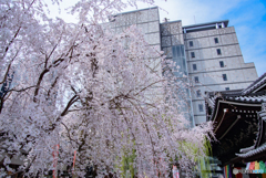 これも京都