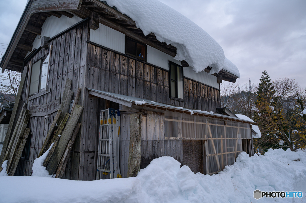 雪と暮らす