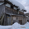 雪と暮らす