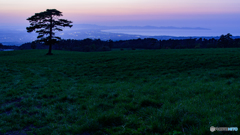 大山・夕景