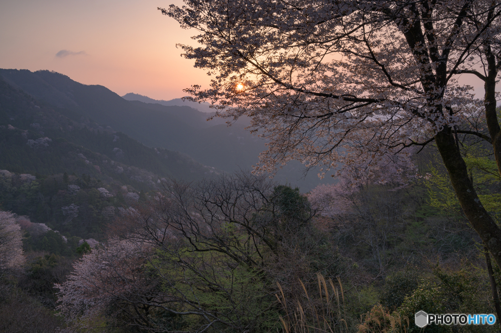 峠道