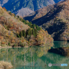 晩秋の徳山湖