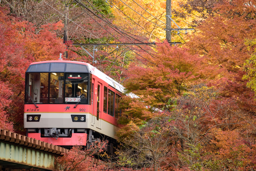 紅葉のトンネル