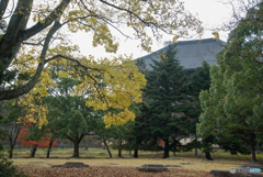 東大寺