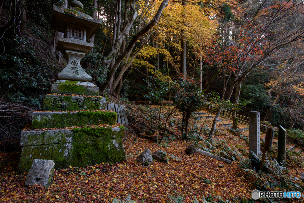 晩秋の日向大神宮