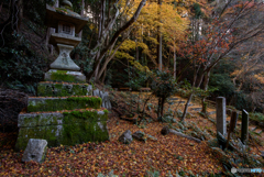 晩秋の日向大神宮