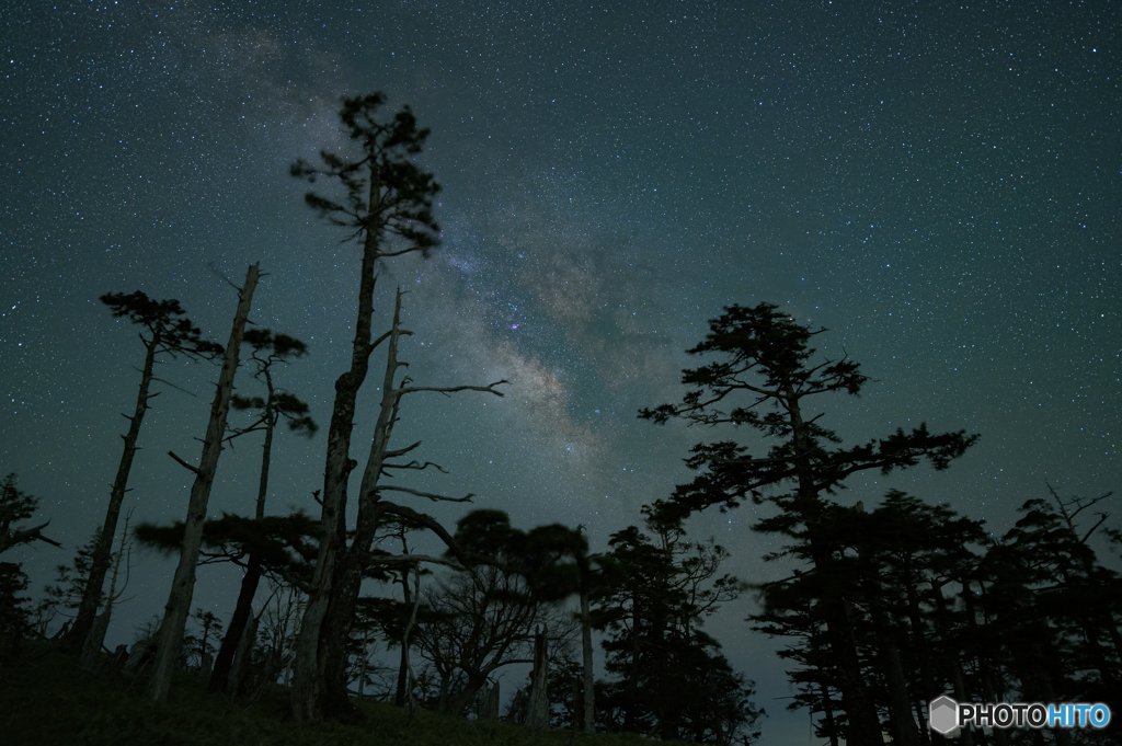 風の夜・星の夜