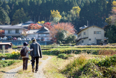 紅葉狩り