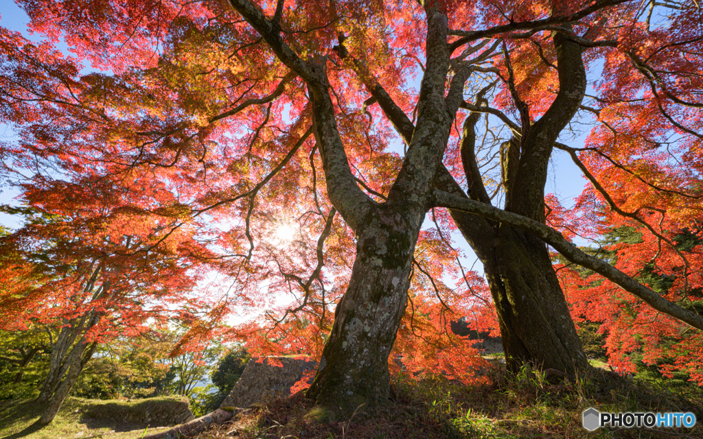 過去の記憶、今の記録